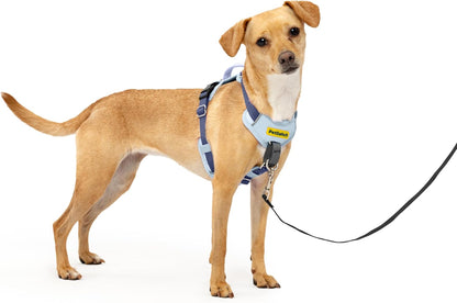 Easy Walk Comfort No Pull Dog Harness, Green, Medium