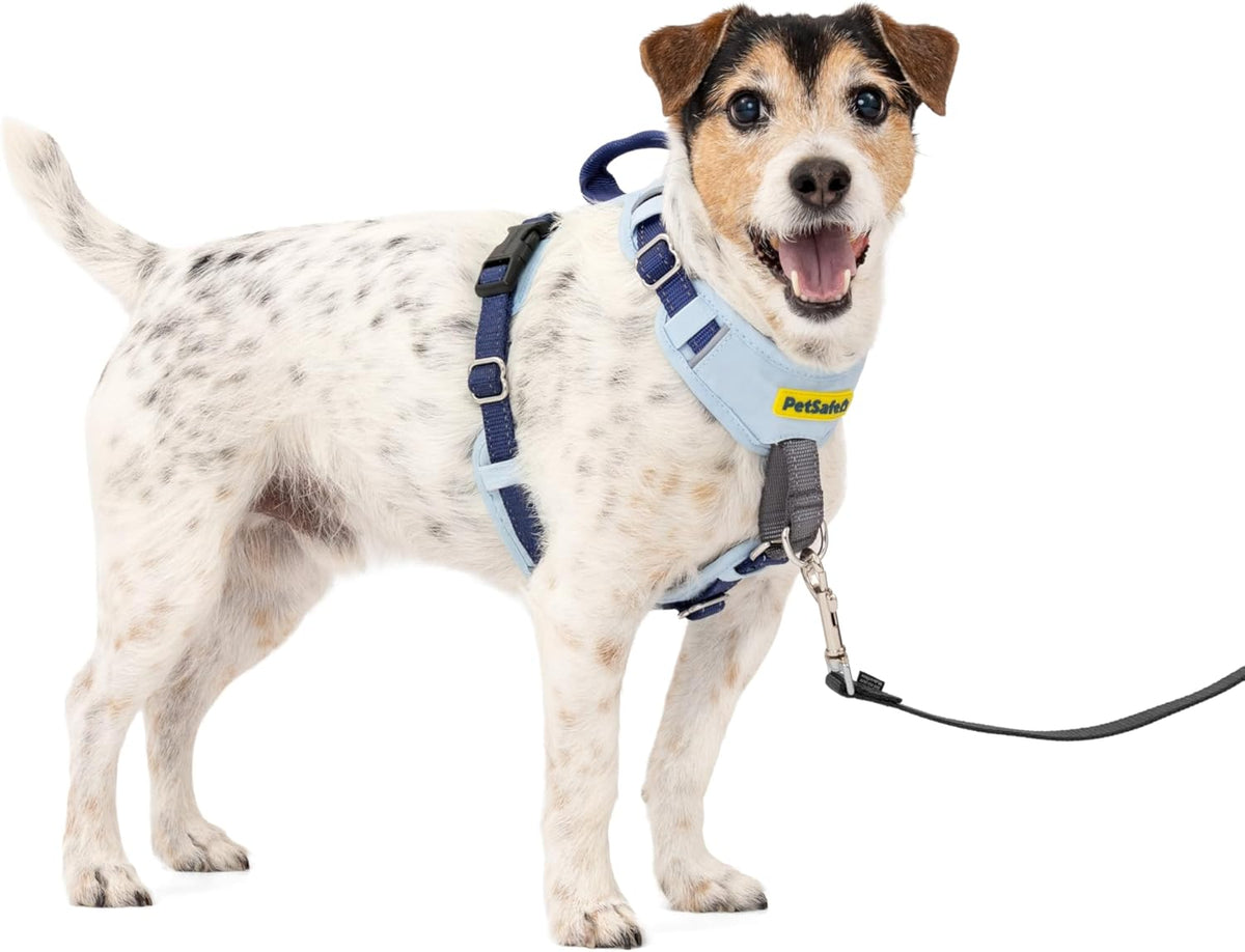 Easy Walk Comfort No Pull Dog Harness, Green, Medium