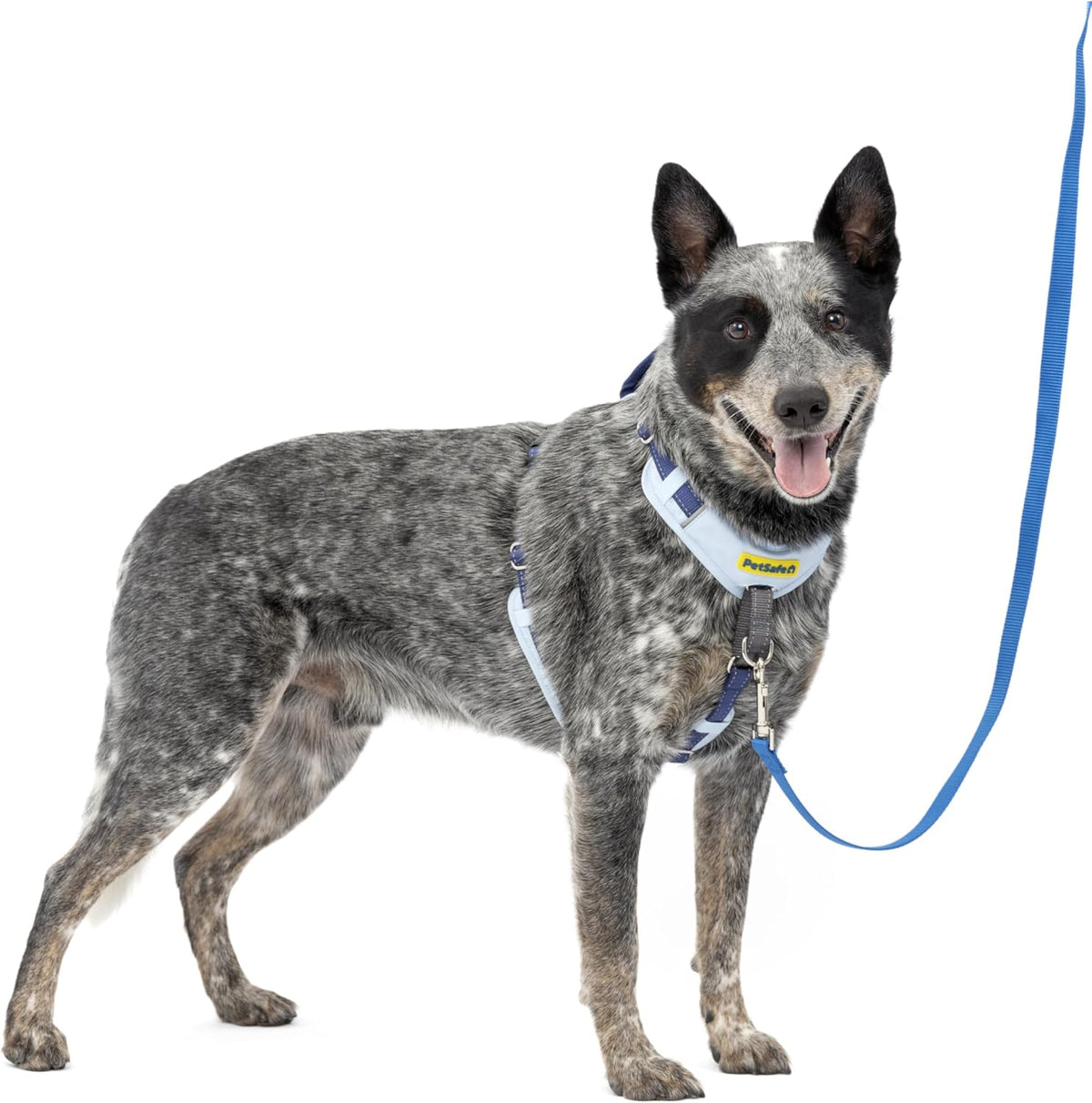 Easy Walk Comfort No Pull Dog Harness, Green, Medium