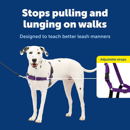Easy Walk Comfort No Pull Dog Harness, Green, Medium