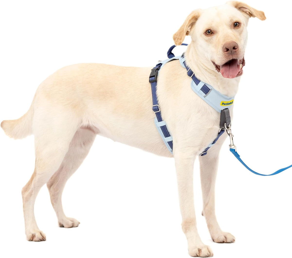 Easy Walk Comfort No Pull Dog Harness, Green, Medium