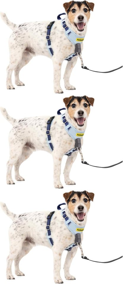 Easy Walk Comfort No Pull Dog Harness, Green, Medium