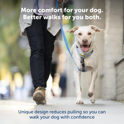 Easy Walk Comfort No Pull Dog Harness, Green, Medium