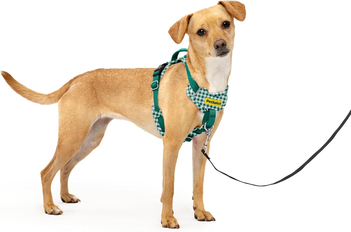 Easy Walk Comfort No Pull Dog Harness, Green, Medium