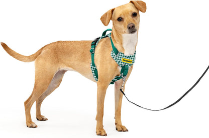 Easy Walk Comfort No Pull Dog Harness, Green, Medium