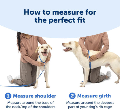 Easy Walk Comfort No Pull Dog Harness, Green, Medium