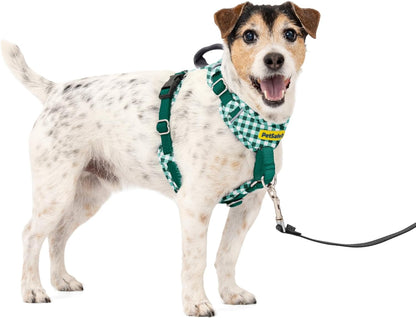 Easy Walk Comfort No Pull Dog Harness, Green, Medium