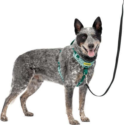 Easy Walk Comfort No Pull Dog Harness, Green, Medium