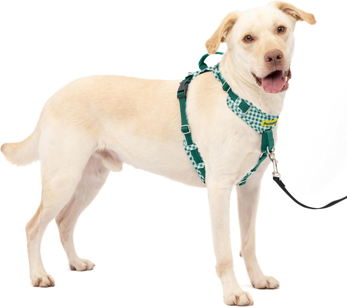 Easy Walk Comfort No Pull Dog Harness, Green, Medium