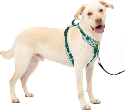 Easy Walk Comfort No Pull Dog Harness, Green, Medium