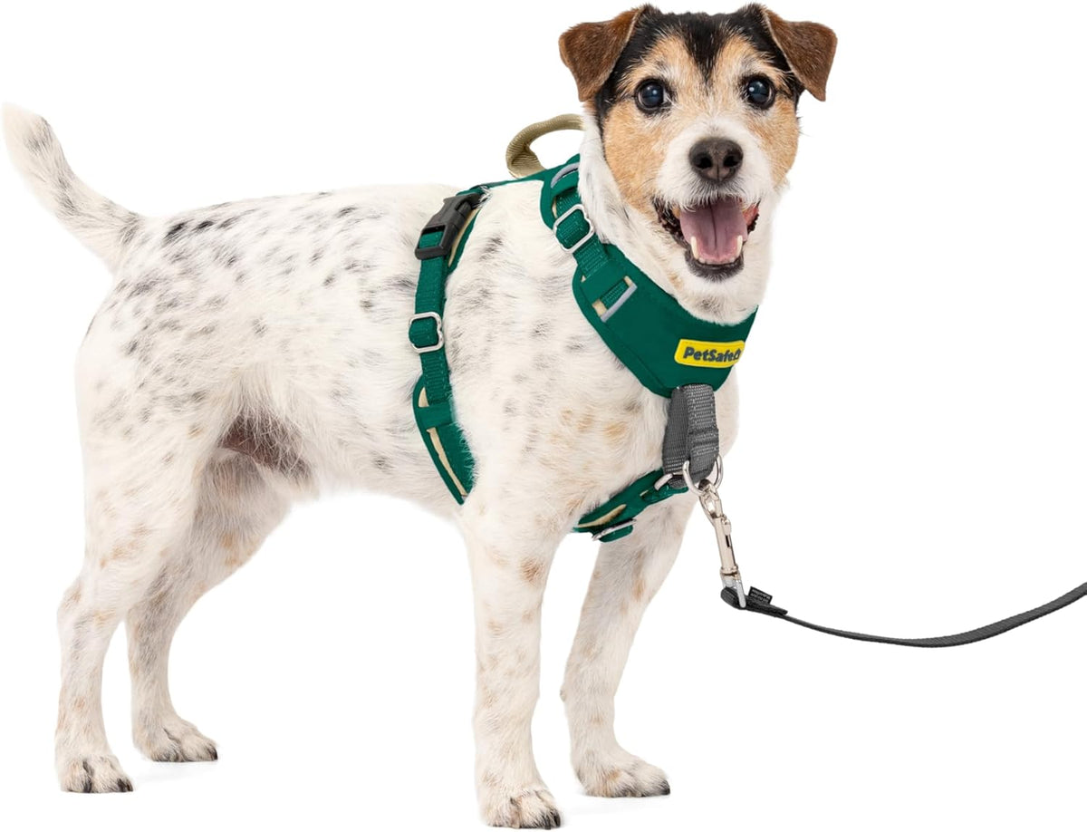 Easy Walk Comfort No Pull Dog Harness, Green, Medium