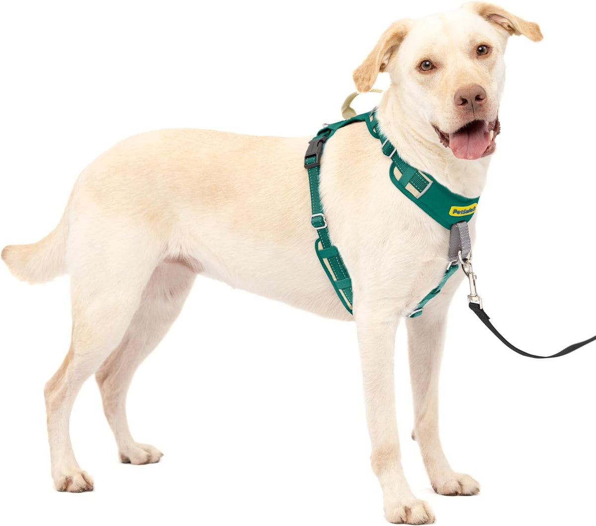 Easy Walk Comfort No Pull Dog Harness, Green, Medium