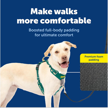 Easy Walk Comfort No Pull Dog Harness, Green, Medium