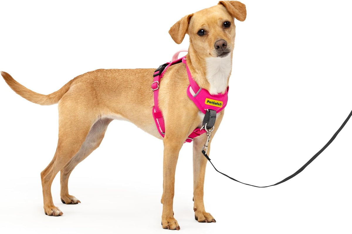 Easy Walk Comfort No Pull Dog Harness, Green, Medium