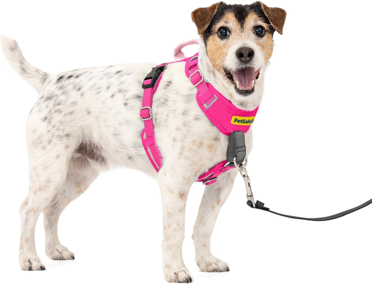 Easy Walk Comfort No Pull Dog Harness, Green, Medium