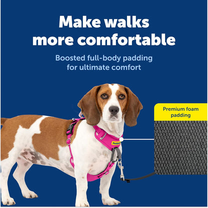Easy Walk Comfort No Pull Dog Harness, Green, Medium