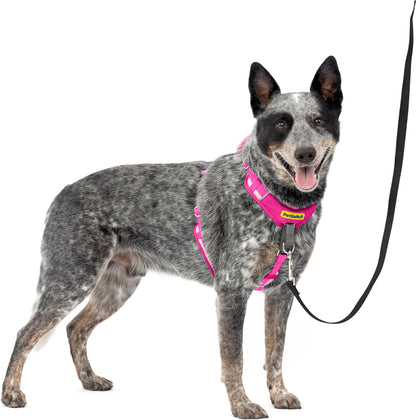 Easy Walk Comfort No Pull Dog Harness, Green, Medium