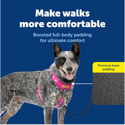 Easy Walk Comfort No Pull Dog Harness, Green, Medium