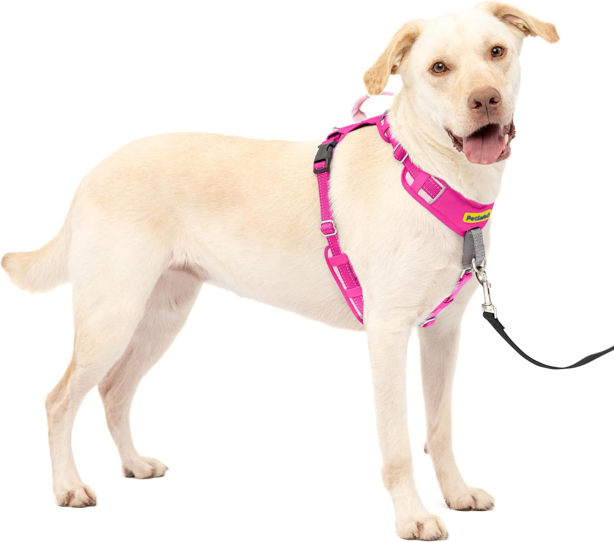 Easy Walk Comfort No Pull Dog Harness, Green, Medium