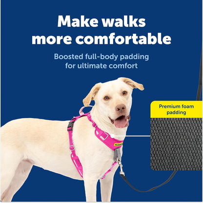 Easy Walk Comfort No Pull Dog Harness, Green, Medium