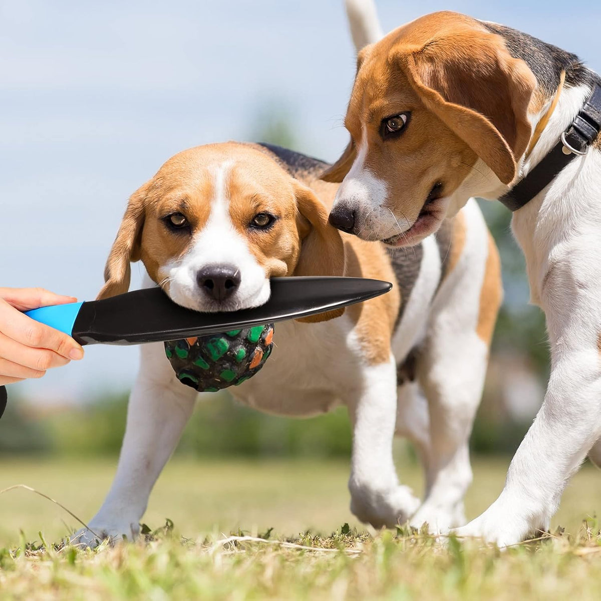 2 Pcs Dog Break Stick for Large Dogs, Chew Toy, Blue