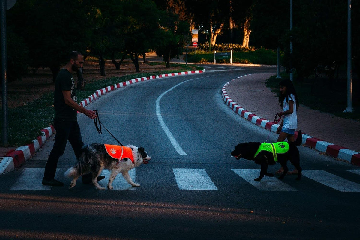 Upgraded Reflective Dog Vest. Hi-Visibility, Fluorescent Blaze Orange Dog Vest Helps Protect Your Best Friend. Safeguard Your PUP from Motorists & Hunting Accidents, On or Off Leash