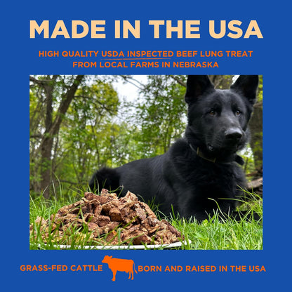 Beef Lung Dog Treats - Single Ingredient, High Protein, 1 LB