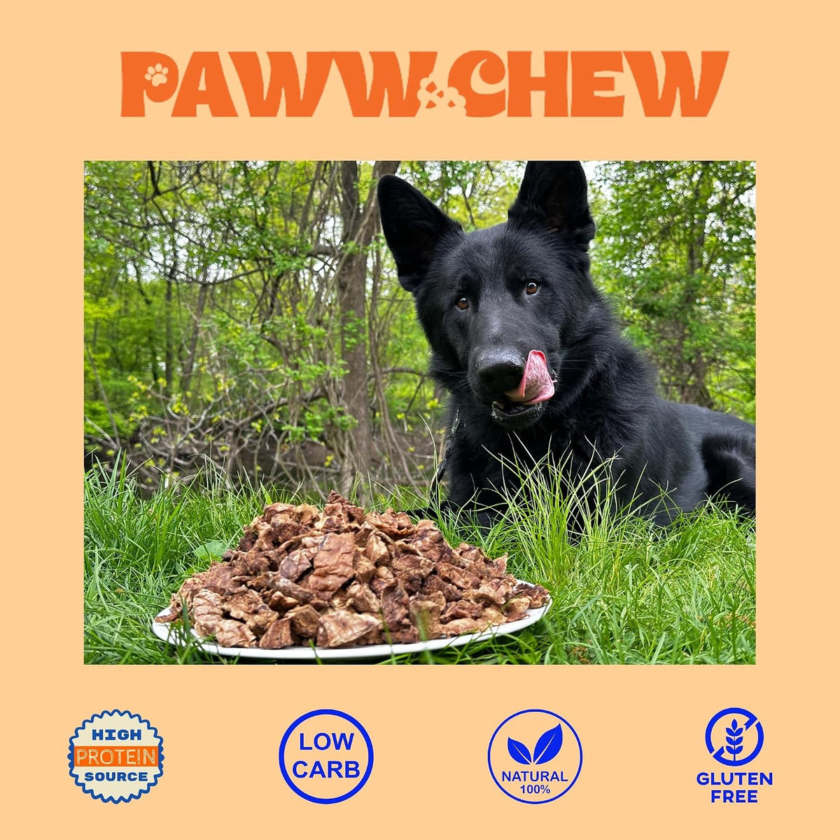 Beef Lung Dog Treats - Single Ingredient, High Protein, 1 LB