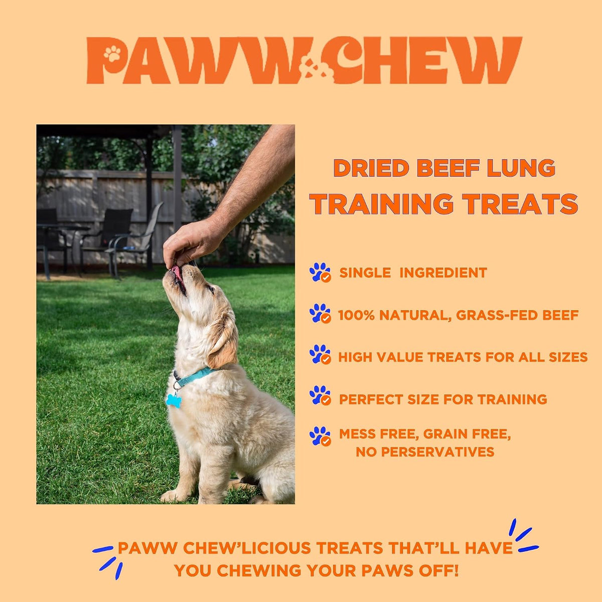 Beef Lung Dog Treats - Single Ingredient, High Protein, 1 LB