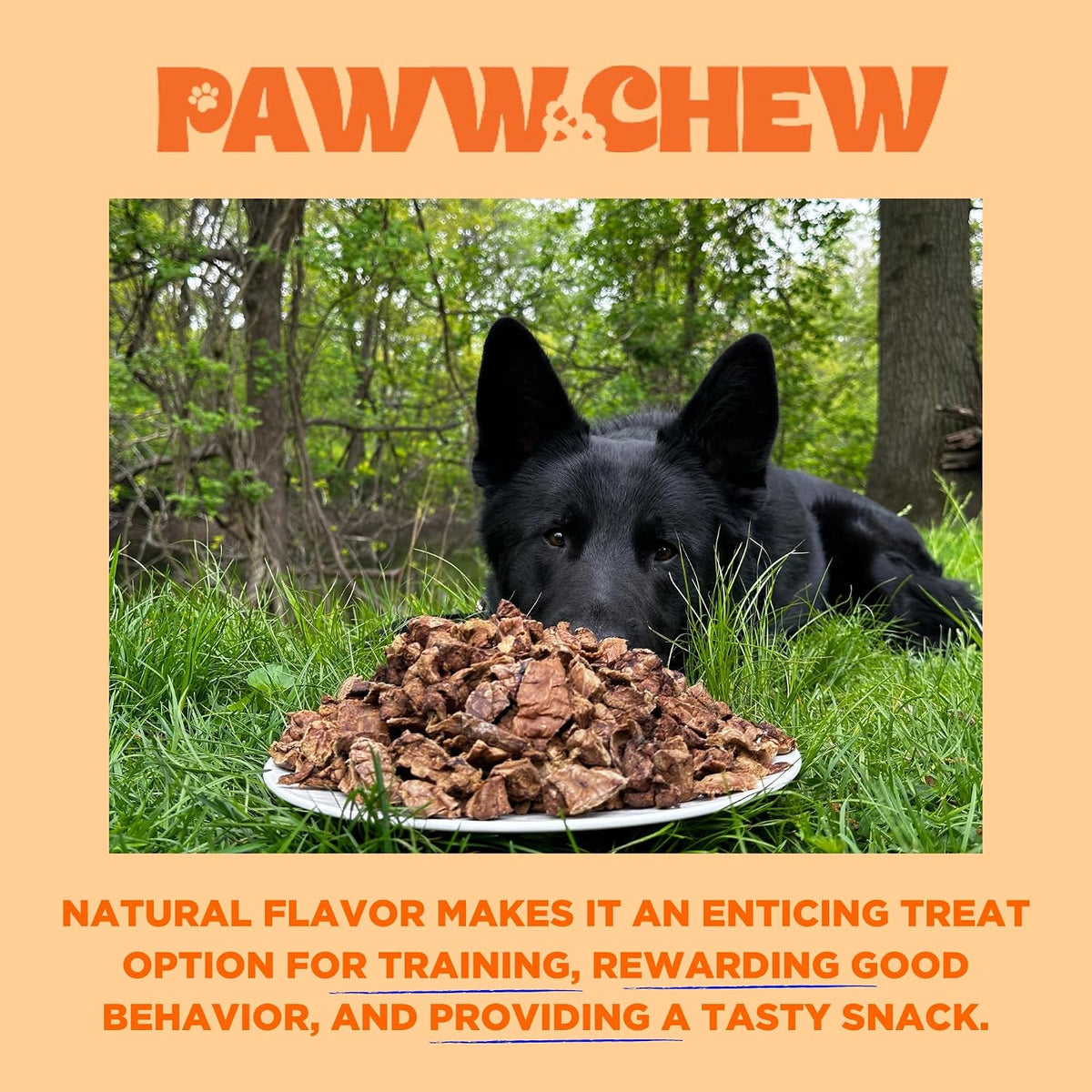 Beef Lung Dog Treats - Single Ingredient, High Protein, 1 LB