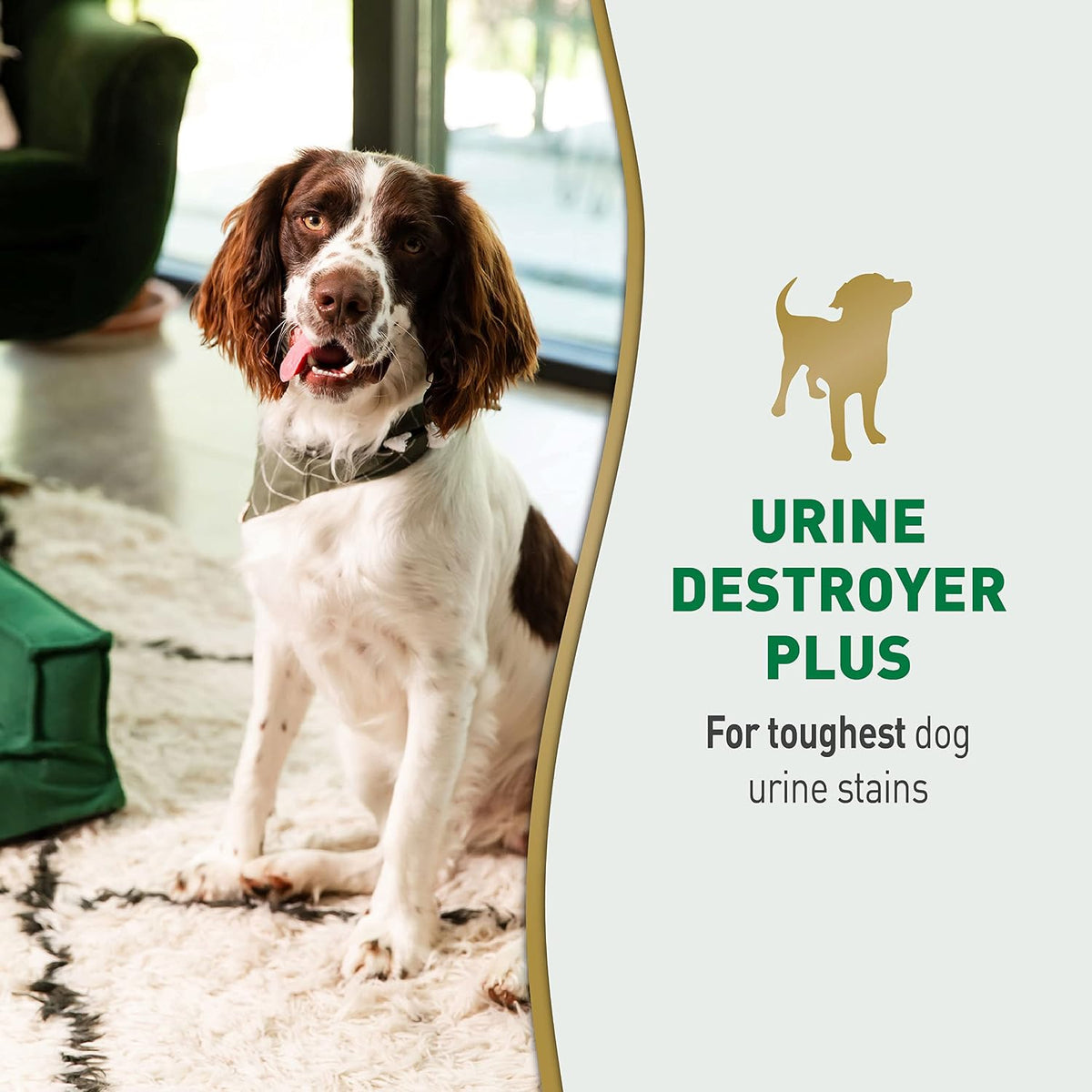 Urine Destroyer Plus for Dogs, Enzymatic Formula for Severe Dog Stains, 32 oz