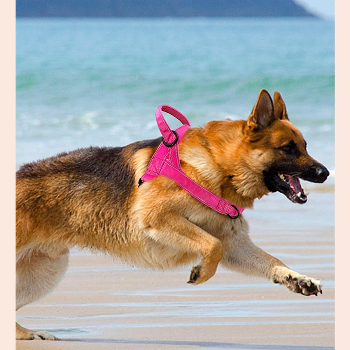 No Pull Dog Harness Pink for Small Medium Large Sized Dog, Reflective Escape Proof Adjustable Dog Harnesses with 2 Patch, L