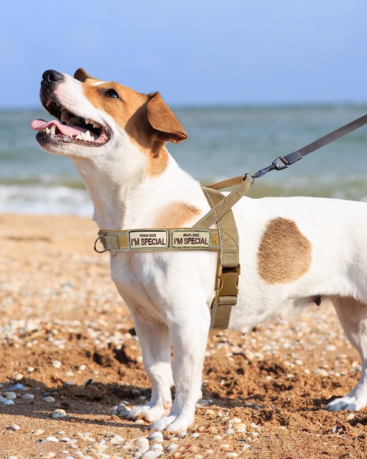 No Pull Dog Harness Pink for Small Medium Large Sized Dog, Reflective Escape Proof Adjustable Dog Harnesses with 2 Patch, L
