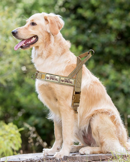 No Pull Dog Harness Pink for Small Medium Large Sized Dog, Reflective Escape Proof Adjustable Dog Harnesses with 2 Patch, L