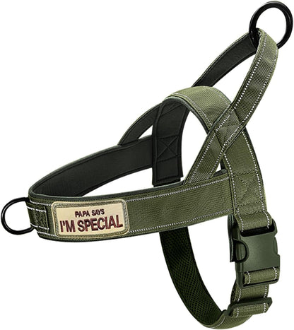 No Pull Dog Harness Pink for Small Medium Large Sized Dog, Reflective Escape Proof Adjustable Dog Harnesses with 2 Patch, L