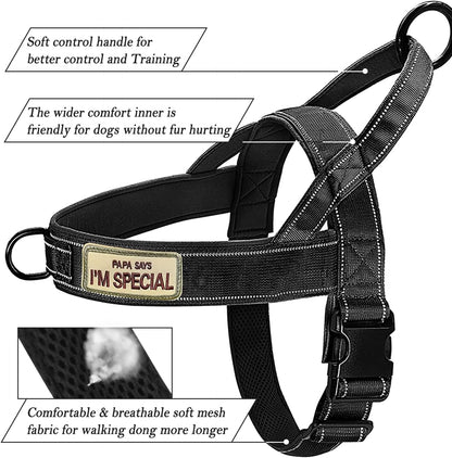 No Pull Dog Harness Pink for Small Medium Large Sized Dog, Reflective Escape Proof Adjustable Dog Harnesses with 2 Patch, L