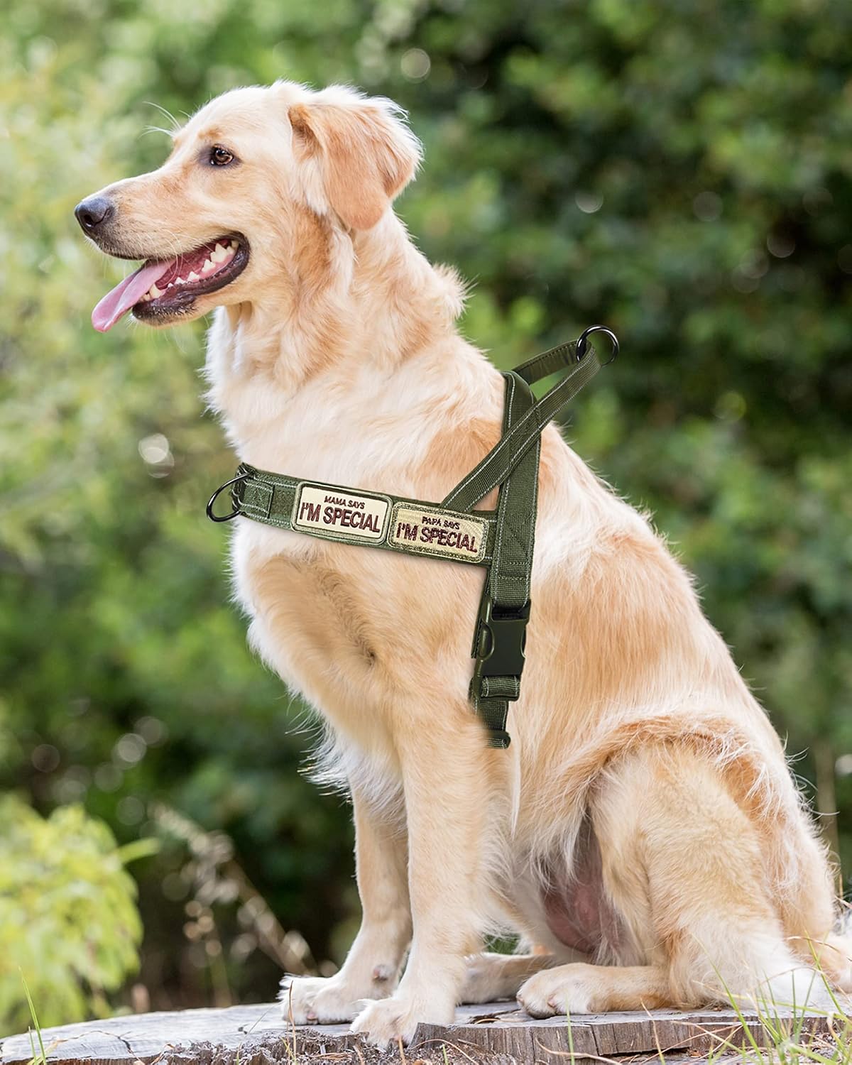 No Pull Dog Harness Pink for Small Medium Large Sized Dog, Reflective Escape Proof Adjustable Dog Harnesses with 2 Patch, L