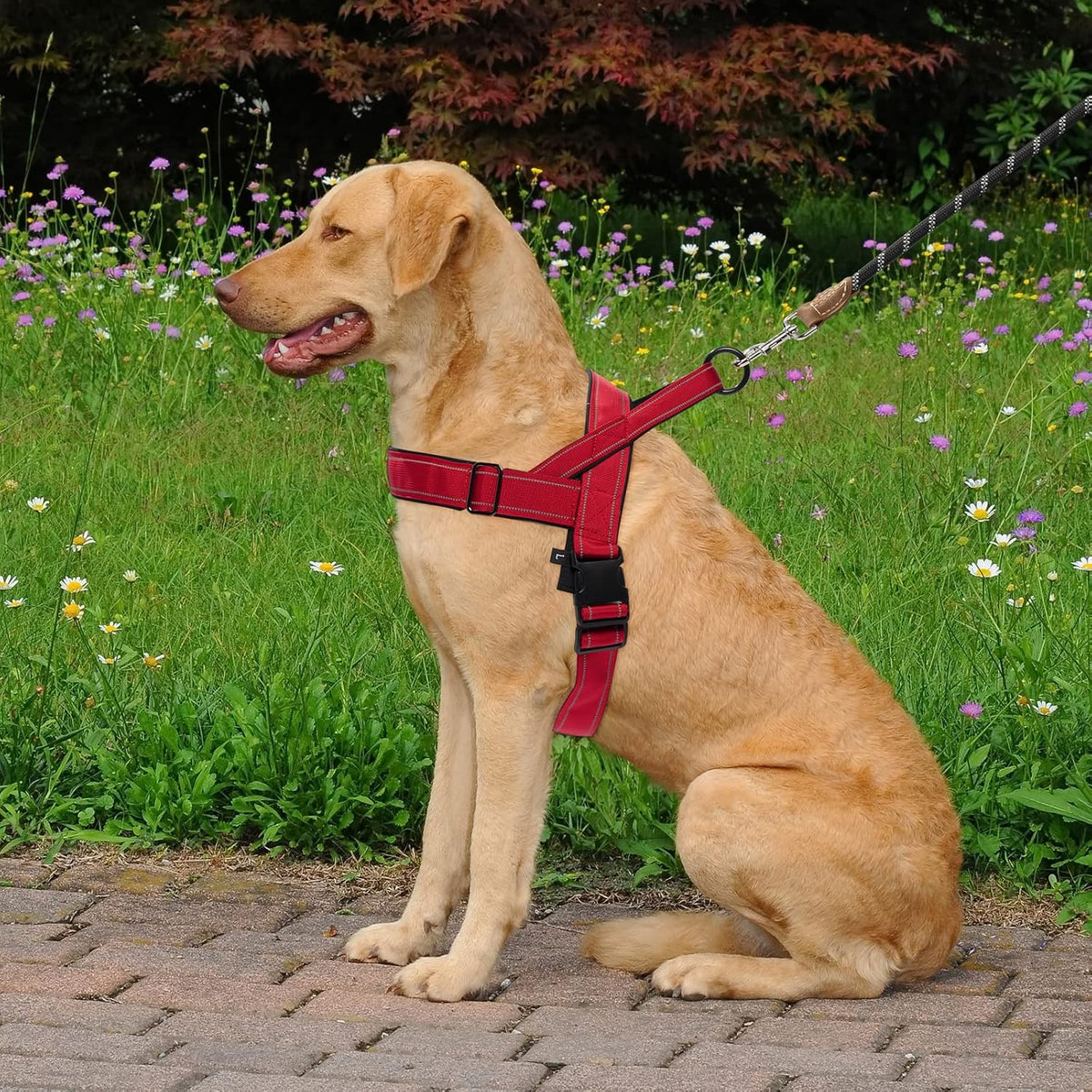 No Pull Dog Harness Pink for Small Medium Large Sized Dog, Reflective Escape Proof Adjustable Dog Harnesses with 2 Patch, L