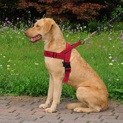 No Pull Dog Harness Pink for Small Medium Large Sized Dog, Reflective Escape Proof Adjustable Dog Harnesses with 2 Patch, L