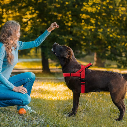No Pull Dog Harness Pink for Small Medium Large Sized Dog, Reflective Escape Proof Adjustable Dog Harnesses with 2 Patch, L