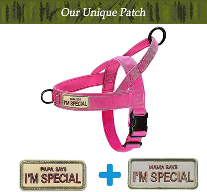 No Pull Dog Harness Pink for Small Medium Large Sized Dog, Reflective Escape Proof Adjustable Dog Harnesses with 2 Patch, L