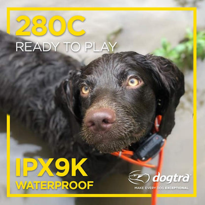 280X E-Collar with Remote [New Edition] 10 lbs+, 1/2 Mile Range, LED Light, 100 Levels of Precise Control for Stubborn Dogs, Waterproof, Boost for Quick Recall, Vibration, Safety Lock & Tone