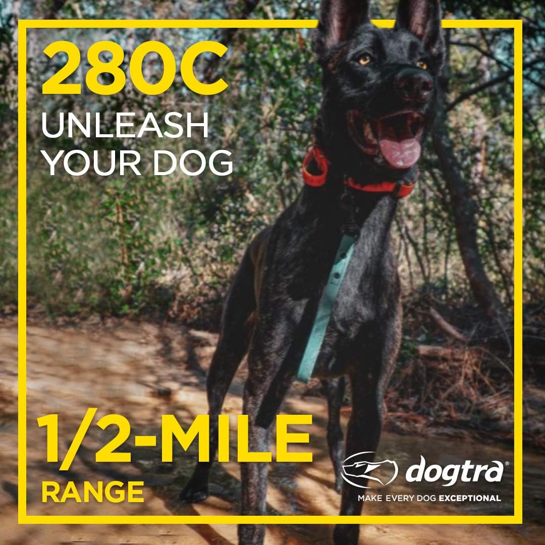 280X E-Collar with Remote [New Edition] 10 lbs+, 1/2 Mile Range, LED Light, 100 Levels of Precise Control for Stubborn Dogs, Waterproof, Boost for Quick Recall, Vibration, Safety Lock & Tone