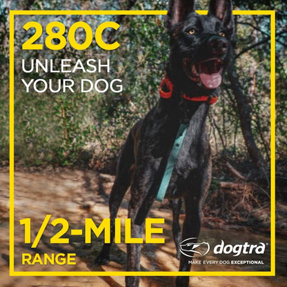 280X E-Collar with Remote [New Edition] 10 lbs+, 1/2 Mile Range, LED Light, 100 Levels of Precise Control for Stubborn Dogs, Waterproof, Boost for Quick Recall, Vibration, Safety Lock & Tone