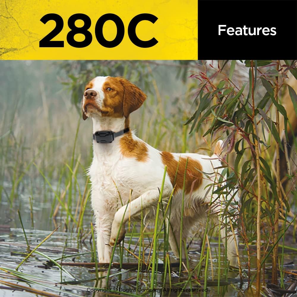 280X E-Collar with Remote [New Edition] 10 lbs+, 1/2 Mile Range, LED Light, 100 Levels of Precise Control for Stubborn Dogs, Waterproof, Boost for Quick Recall, Vibration, Safety Lock & Tone