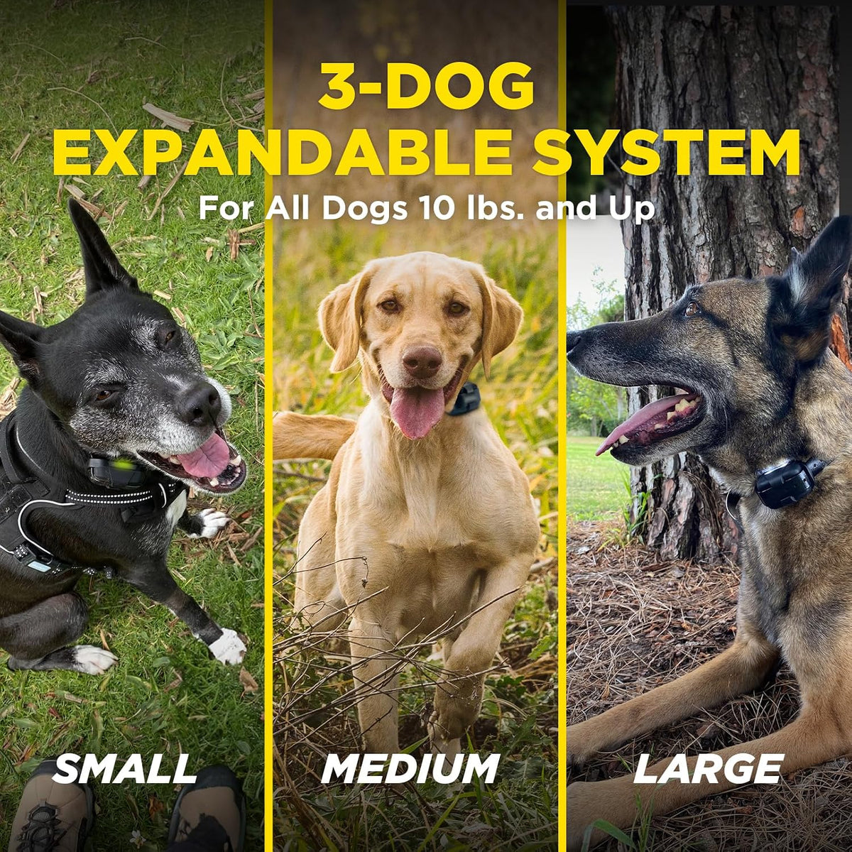 280X E-Collar with Remote [New Edition] 10 lbs+, 1/2 Mile Range, LED Light, 100 Levels of Precise Control for Stubborn Dogs, Waterproof, Boost for Quick Recall, Vibration, Safety Lock & Tone