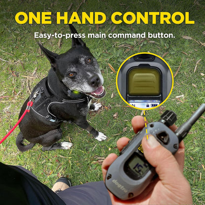 280X E-Collar with Remote [New Edition] 10 lbs+, 1/2 Mile Range, LED Light, 100 Levels of Precise Control for Stubborn Dogs, Waterproof, Boost for Quick Recall, Vibration, Safety Lock & Tone