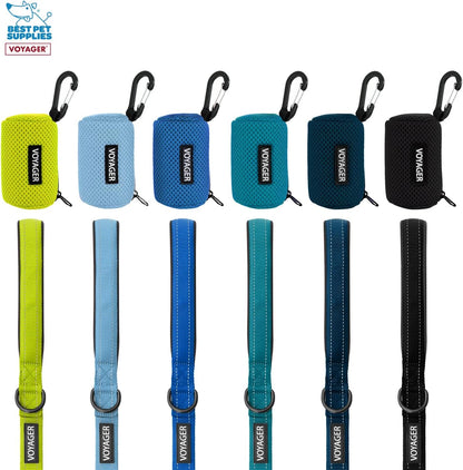 Best Pet Supplies Dog Poop Bag Holder Leash Attachment with Reusable Dispenser for Travel, Walking, Park, and Outdoor Use, Durable with Clip-On - Prussian Blue, Mesh Dispenser w/15 Bags