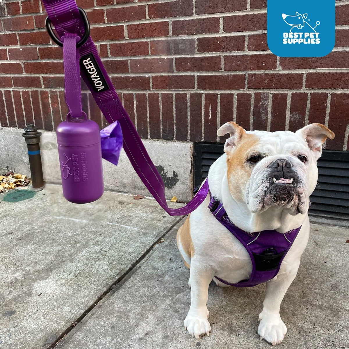Best Pet Supplies Dog Poop Bag Holder Leash Attachment with Reusable Dispenser for Travel, Walking, Park, and Outdoor Use, Durable with Clip-On - Prussian Blue, Mesh Dispenser w/15 Bags
