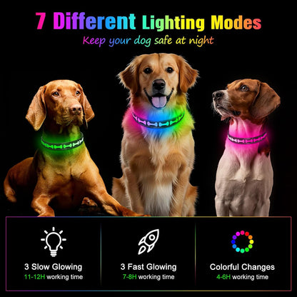 LED Dog Collar Light up USB Rechargeable, 7-Color Glow, Grey, L